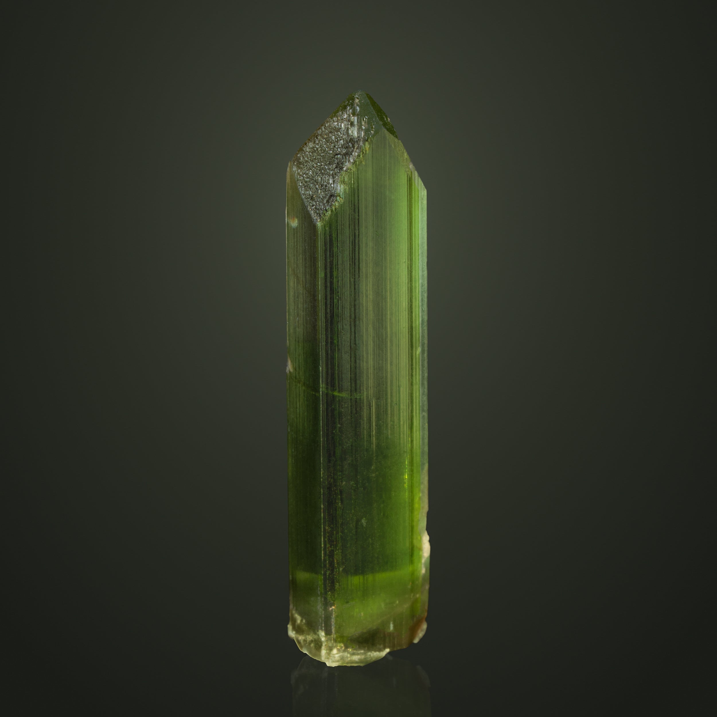 The Little 3 Verdant Collection