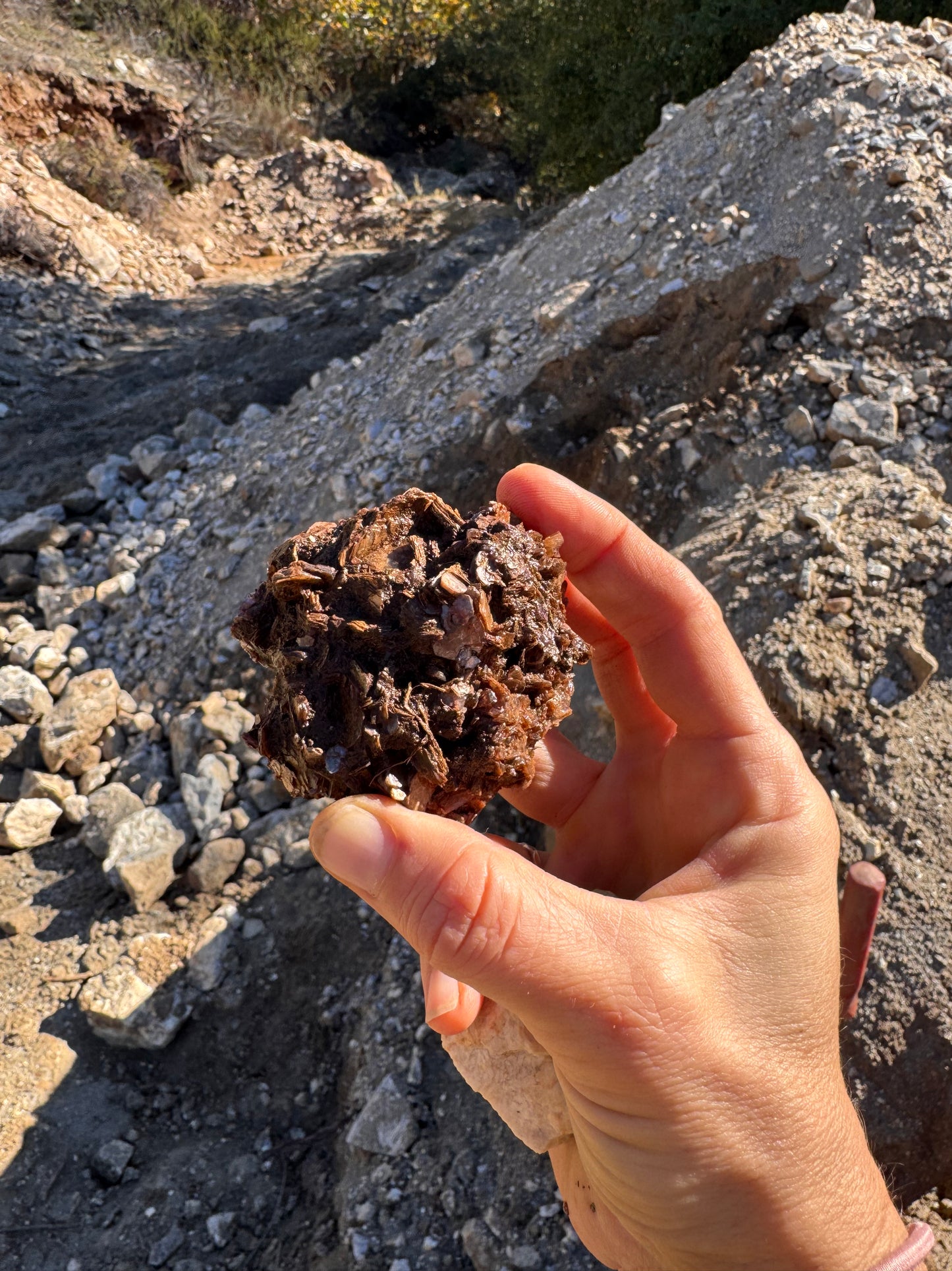Topaz Ledge Tailings Dig