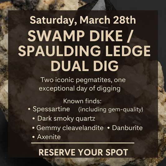 Swamp Dike/ Spaulding Ledge Dual Dig
