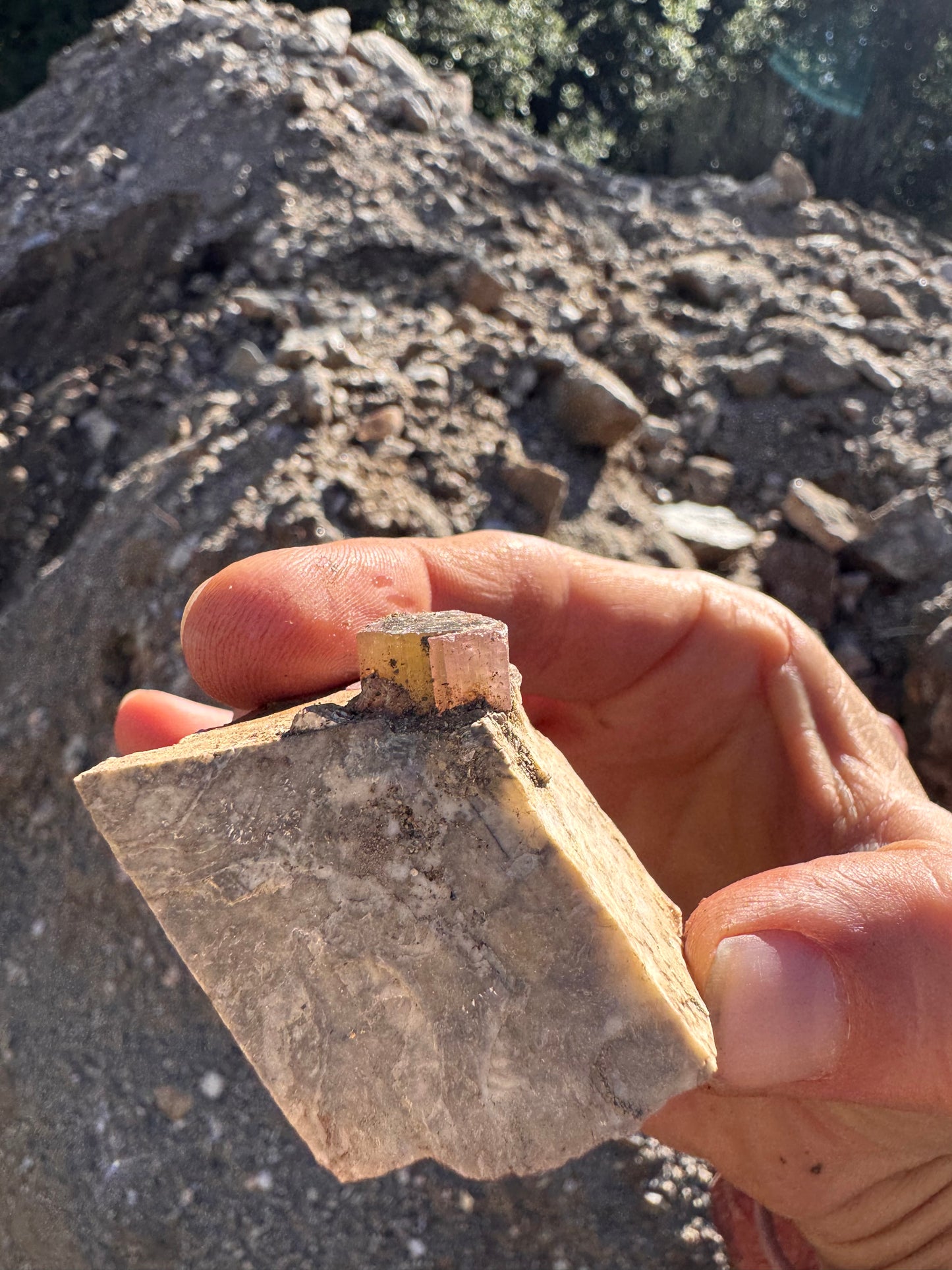 Topaz Ledge Tailings Dig