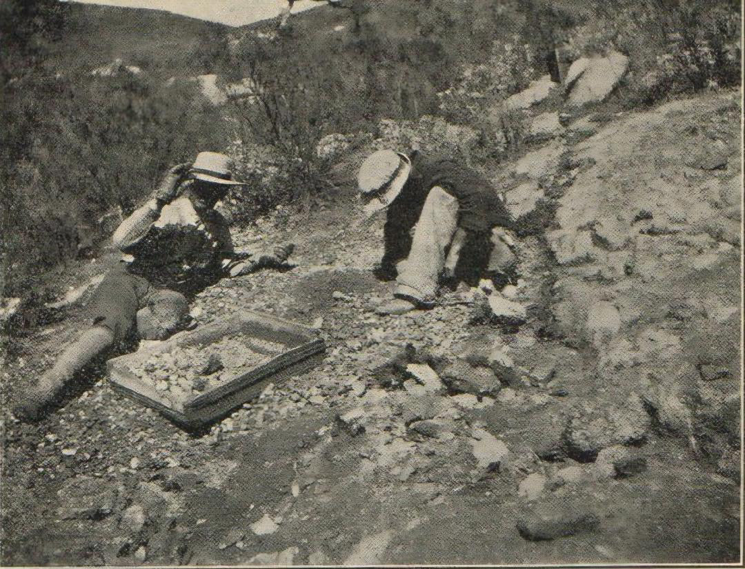Topaz Ledge Tailings Dig