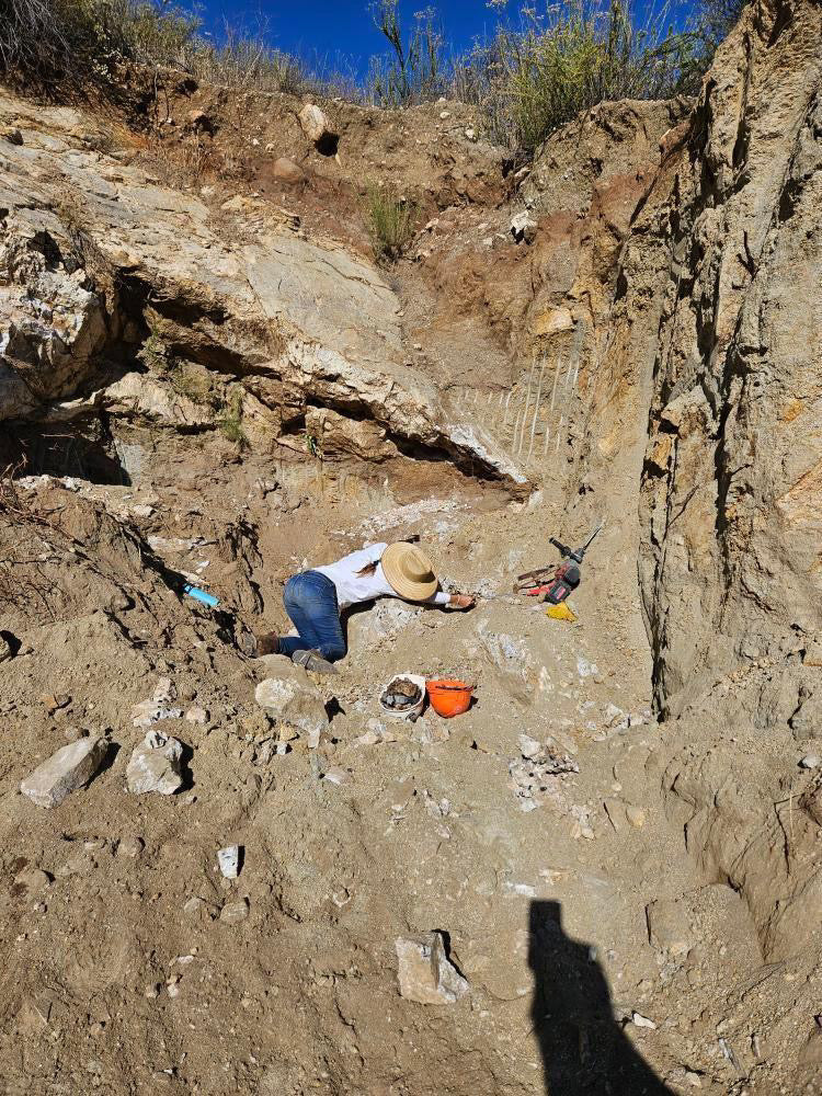 Topaz Ledge Tailings Dig