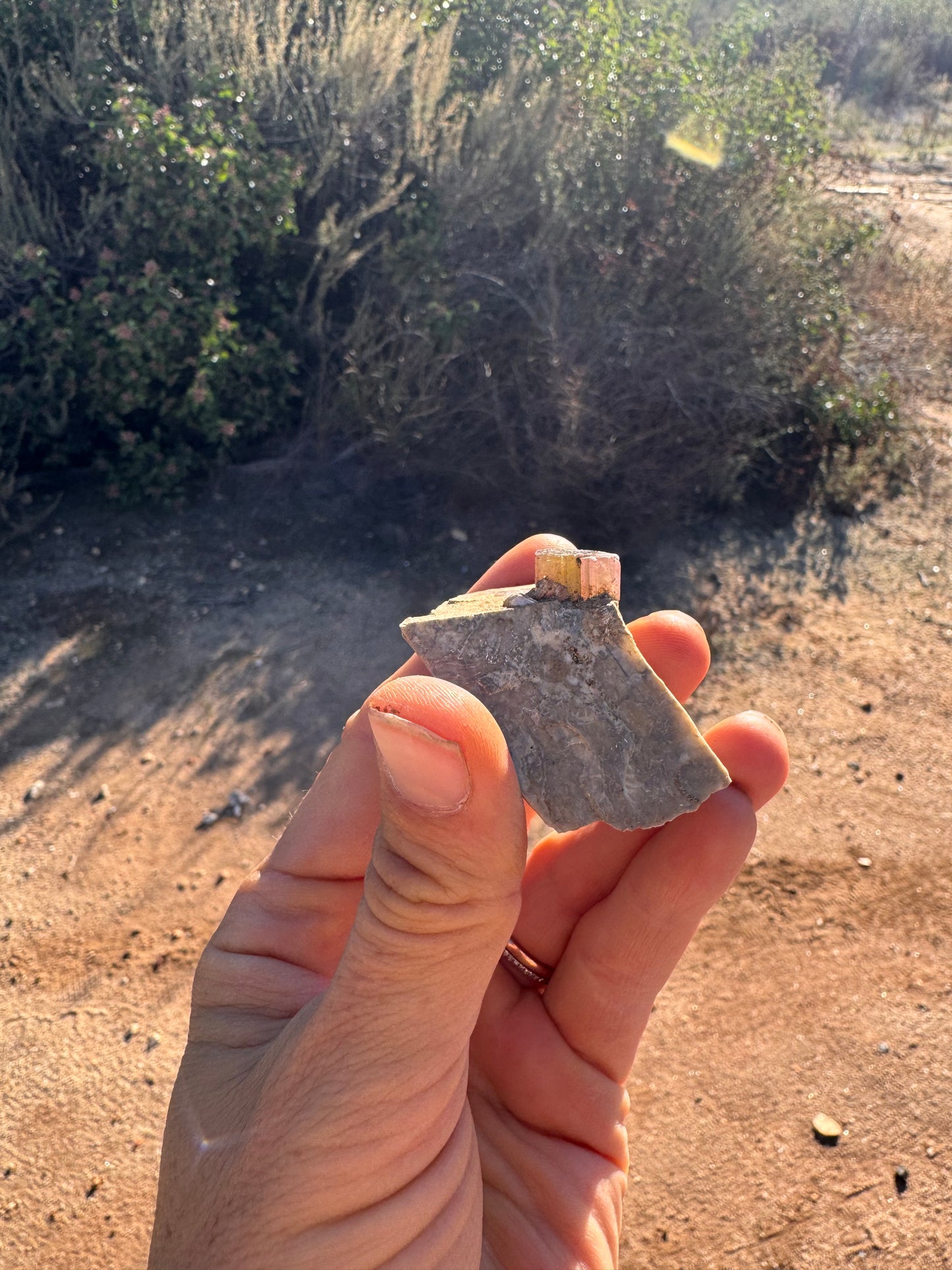 Topaz Ledge Tailings Dig