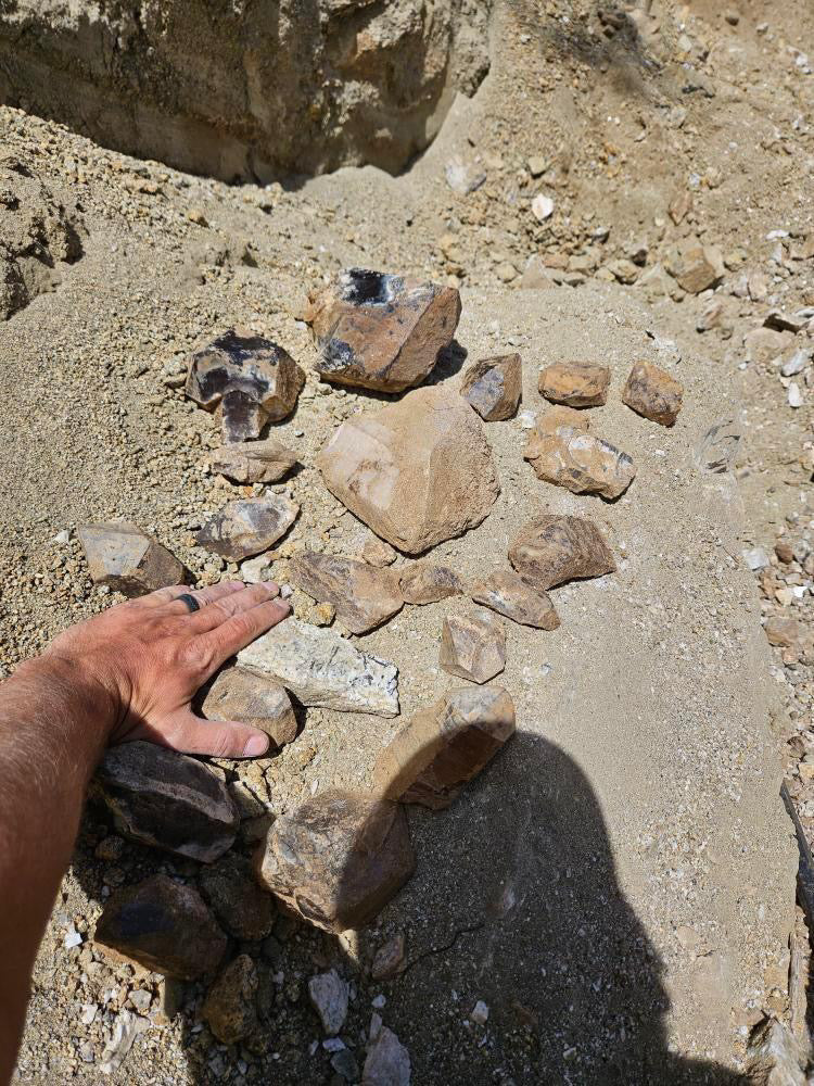 Swamp Dike/ Spaulding Ledge Dual Dig