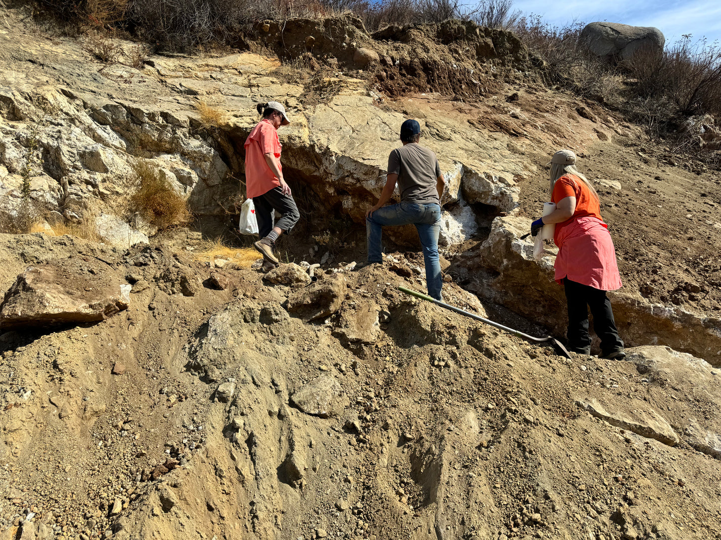Swamp Dike/ Spaulding Ledge Dual Dig