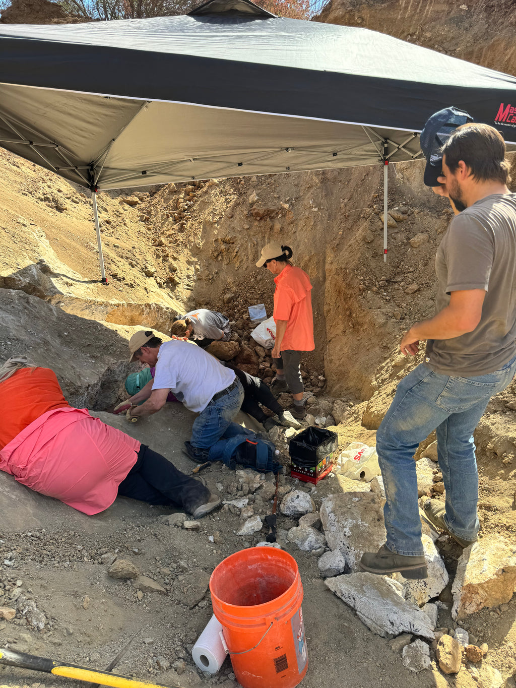 Swamp Dike/ Spaulding Ledge Dual Dig